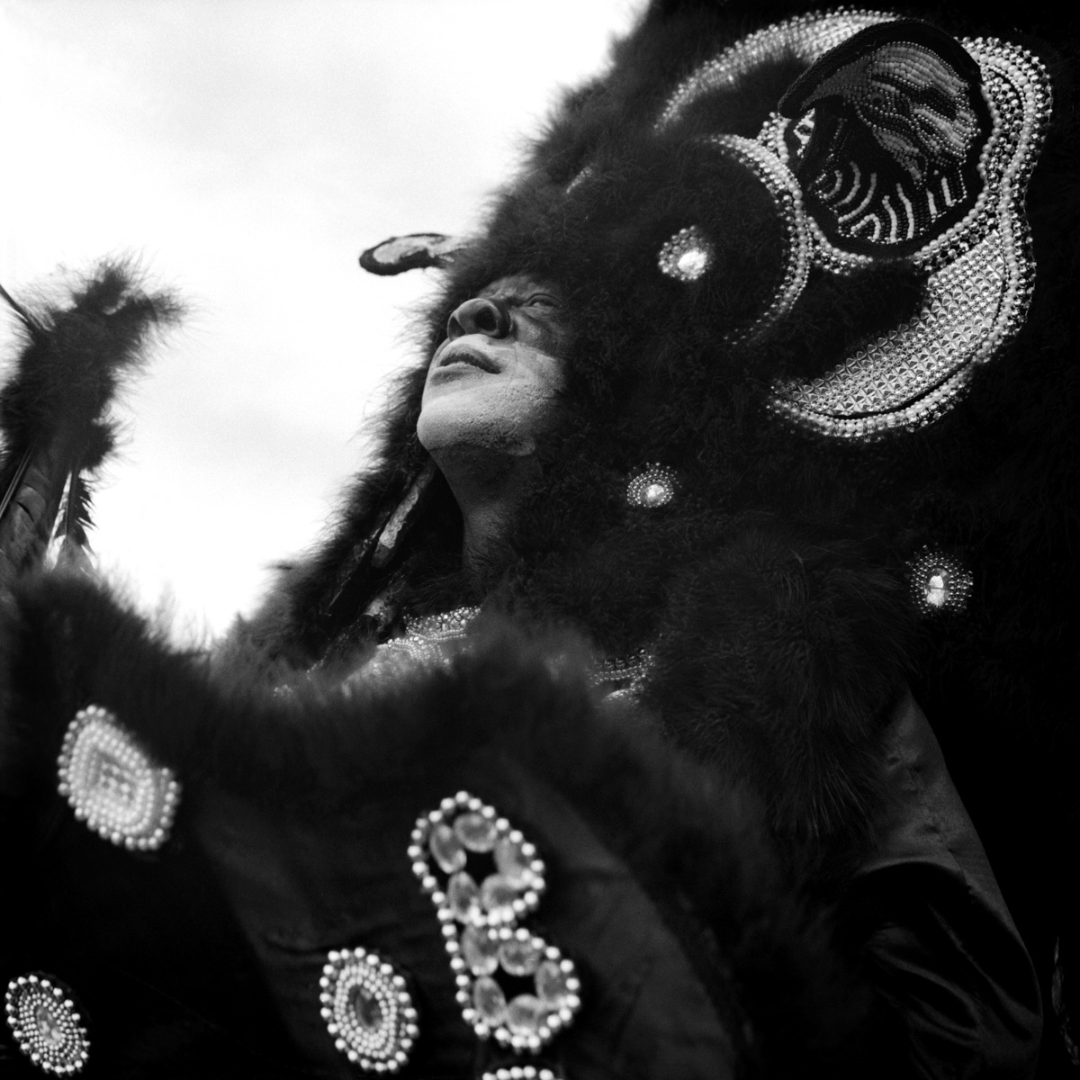 Photographie de Nico Pulcrano