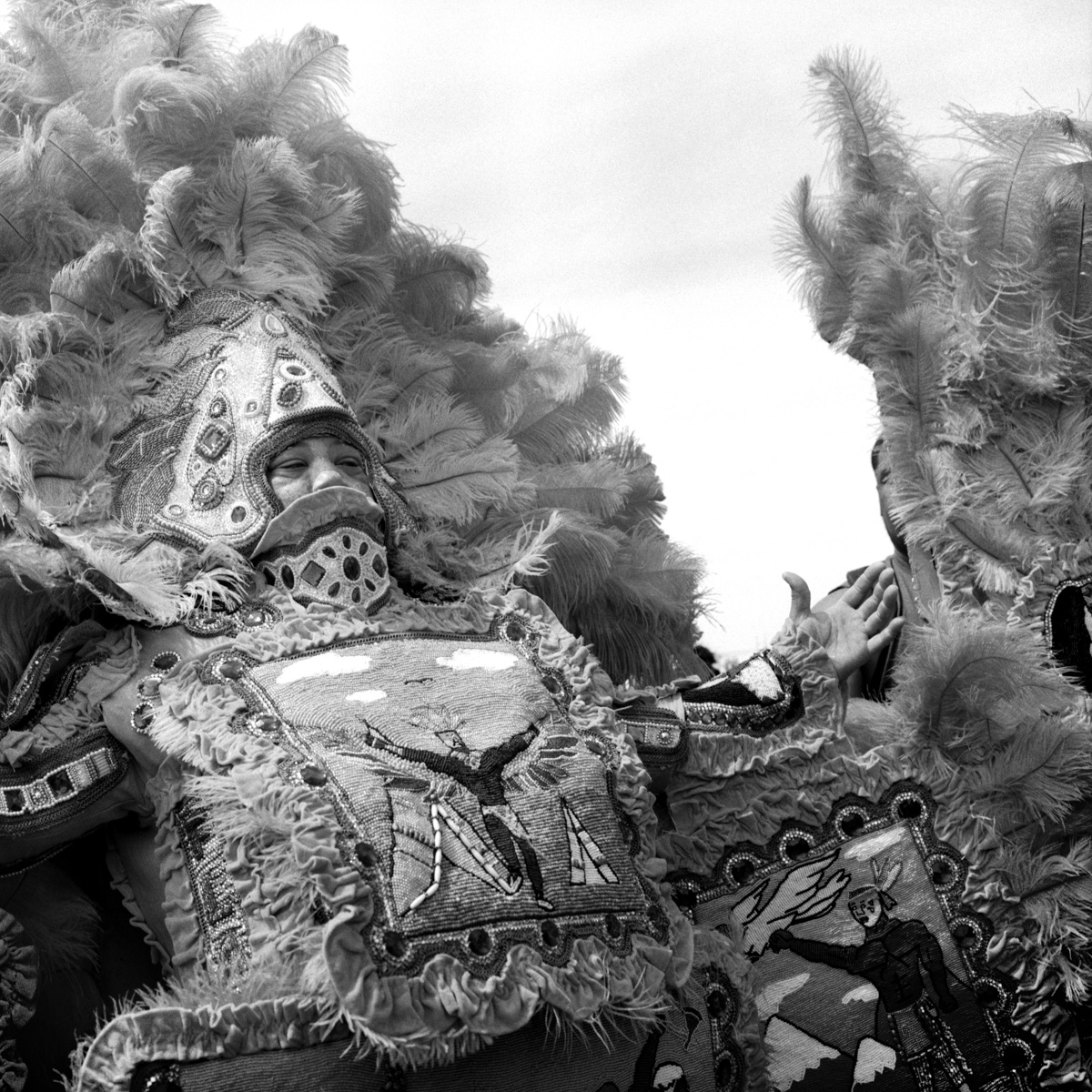 Photographie de Nico Pulcrano