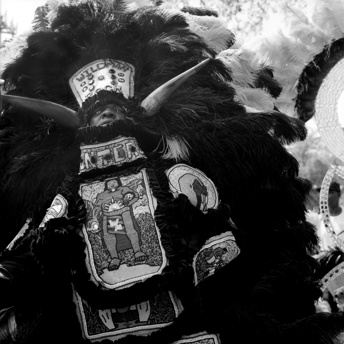 Photographie de Nico Pulcrano